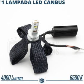 1 Bombilla LED H3 CANbus Plug & Play | NEW ANILLO AJUSTABLE | Conversión de Halógena H3 a LED | 6500K Blanco Frío 4000LM