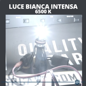 1 Bombilla LED H16 CANbus Plug & Play | NEW ANILLO AJUSTABLE | Conversión de Halógena H16 a LED | 6500K Blanco Frío 4000LM