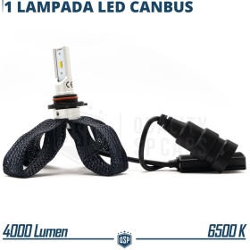 1 Bombilla LED HB3 CANbus Plug & Play | NEW ANILLO AJUSTABLE | Conversión de Halógena HB3 a LED | 6500K Blanco Frío 4000LM