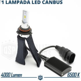 1 Bombilla LED 9006 CANbus Plug & Play | NEW ANILLO AJUSTABLE | Conversión de Halógena 9006 a LED | 6500K Blanco Frío 4000LM