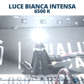 1 Bombilla LED 9006 CANbus Plug & Play | NEW ANILLO AJUSTABLE | Conversión de Halógena 9006 a LED | 6500K Blanco Frío 4000LM