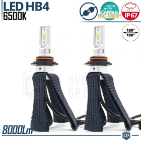 Kit LED HB4 avec ÉCROU RÉGLABLE | 6500K 8000LM | CANbus Anti ERROR, Plug & Play