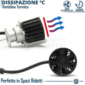 Kit Bombillas LED H1 de Cuarzo 360° CANBUS | Luz Blanca Potente 6500K 55W