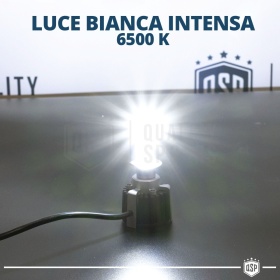 Kit Bombillas LED H1 de Cuarzo 360° CANBUS | Luz Blanca Potente 6500K 55W