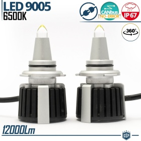 Kit Bombillas LED 9005 de Cuarzo 360° CANBUS | Luz Blanca Potente 6500K 55W