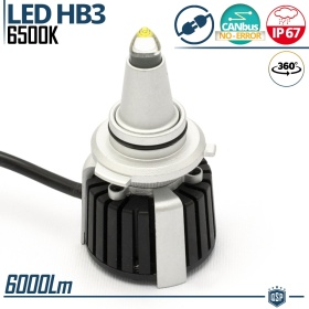 1 Bombilla LED HB3 de Cuarzo 360° CANBUS | Luz Blanca Potente 6500K 55W
