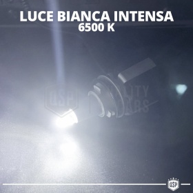Kit Bombillas LED HB3 de Cuarzo 360° CANBUS | Luz Blanca Potente 6500K 55W