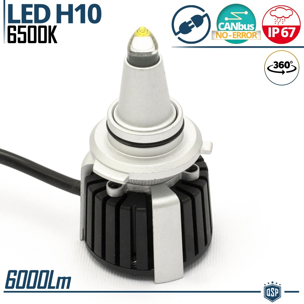 1 Bombilla LED H10 de Cuarzo 360° CANBUS | Luz Blanca Potente 6500K 55W