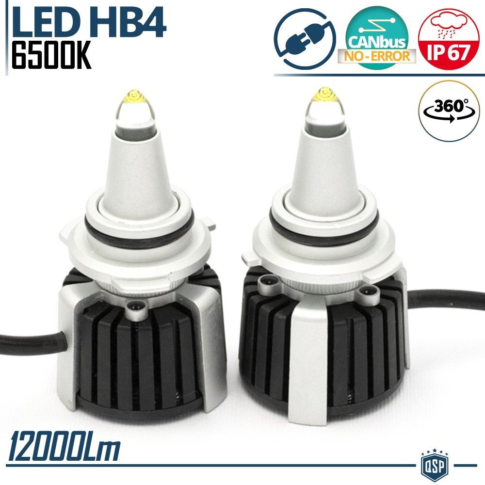 Quartz HB4 LED Bulbs Kit 360° CANBUS | Powerful White Light 6500K 55W