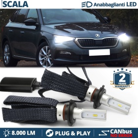 H7 LED Bulbs for Skoda SCALA Low Beam CANbus Bulbs | 6500K Cool White 8000LM