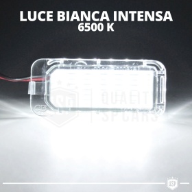 Luces de Matricula LED Canbus para Ford Mondeo MkIV | 6.500k Blanco Frío, Plug & Play