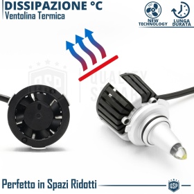 Kit Bombillas LED 9012 de Cuarzo 360° CANBUS | Luz Blanca Potente 6500K 55W
