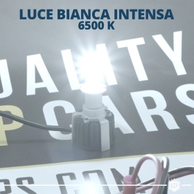 Kit Bombillas LED H3 de Cuarzo 360° CANBUS | Luz Blanca Potente 6500K 55W