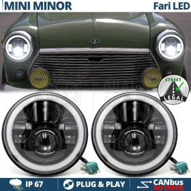 FAROS LED Angel Eyes para MINI-MINOR CLASICO, Luz Blanca 6500K | APROBADO