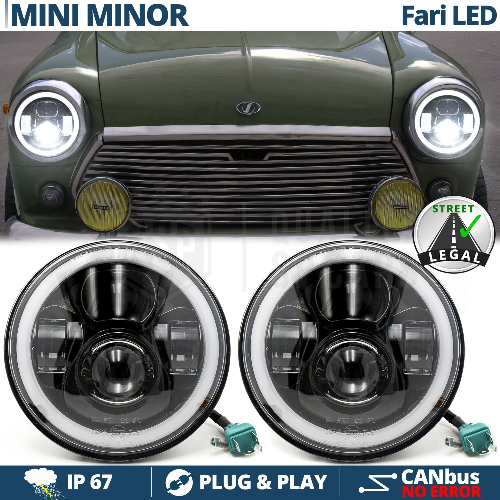 FAROS LED Angel Eyes para MINI-MINOR CLASICO, Luz Blanca 6500K | APROBADO