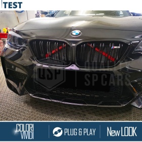 Barras Soporte Rejilla Rojas para BMW 28CM | Tiras Rigidas Protección Radiador