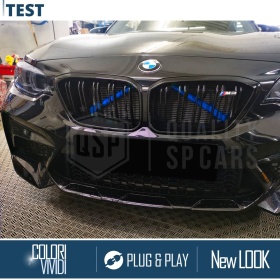 Blaue Kühlergrill Zierleisten Rohr Streifen für BMW 2ER F22 F23 | Starre Kühlerschutz Bänder