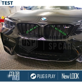 Grüne Kühlergrill Zierleisten Rohr Streifen für BMW 2ER F22 F23 | Starre Kühlerschutz Bänder