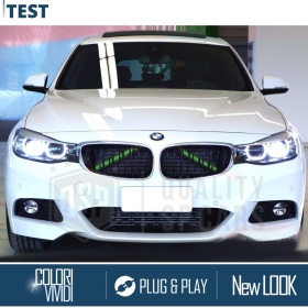 Grüne Kühlergrill Zierleisten Rohr Streifen für BMW 3ER GT F34 F35 | Starre Kühlerschutz Bänder