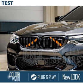 Barras Soporte Rejilla Naranjas para BMW Serie 5 G30, G31 | Tiras Rigidas Protección Radiador