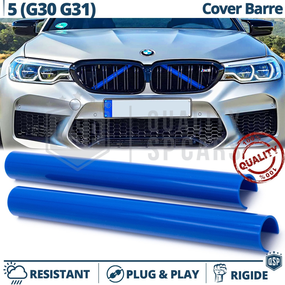 Barras Soporte Rejilla Azules para BMW Serie 5 G30, G31 | Tiras Rigidas Protección Radiador