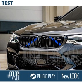 Barras Soporte Rejilla Azules para BMW Serie 6 GT G32 | Tiras Rigidas Protección Radiador