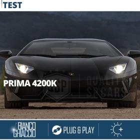 2x Bombillas Bi-Xenon de Repuesto para LAMBORGHINI AVENTADOR Luz Blanco Frio 6000K  35W