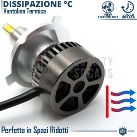 Kit LED H19 CANbus | Luz Blanca Potente 12000LM | Conversión de HALÓGENA H19 a LED | Plug & Play