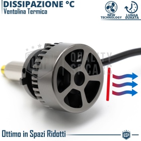 1 Bombilla LED HB3 CANbus | Luz Blanca Potente 6000LM  | Conversión de HALÓGENA HB3 a LED | Plug & Play