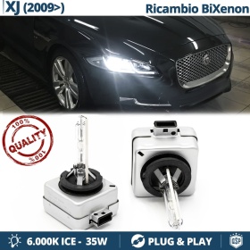 Coppia Lampadine di Ricambio Bi-Xenon D3S per JAGUAR XJ (X351) Luci Bianco Ghiaccio 6000K 35W