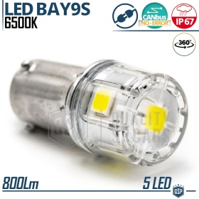 1x Bombilla LED BAY9S H21W Canbus | Luz 360° Blanco Frío 6500K | Plug & Play