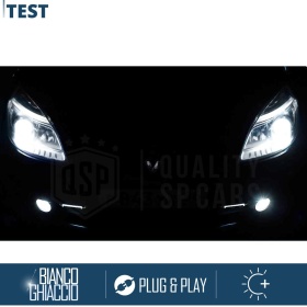 2x Bombillas Xenon D1S de Repuesto para RENAULT SCÉNIC 2 06-09 Luz 6.000K Blanco Frio Lámparas 35W