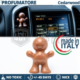 AMBIENTADOR DE COCHE Little Joe® COBRE, Aplicable en Rejilla de Aire Ssangyong | CEDARWOOD 45 Días