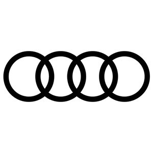Luces de matrícula LED blancas homologadas para Audi | QSPCARS