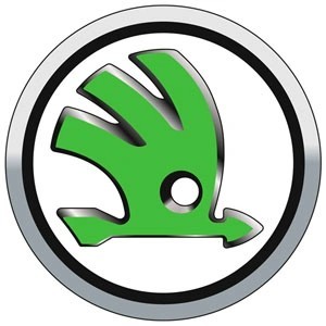 Luces de Matrícula LED Blancas Homologadas para Skoda | QSPCARS