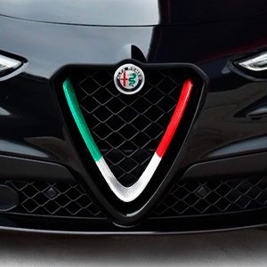 Riñones de Parrilla para Alfa Romeo | QspCars