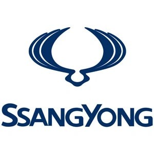 Adaptadores de luz LED para portalámparas Ssangyong | QSPCARS