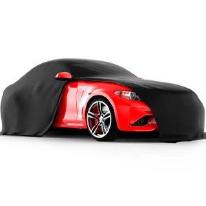 Teli Copriauto PROFESSIONALI Garantiti a VITA QSPCARS