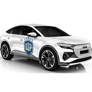 Accessori e Luci LED Xenon Per Audi Q4 FZ | QSPCARS