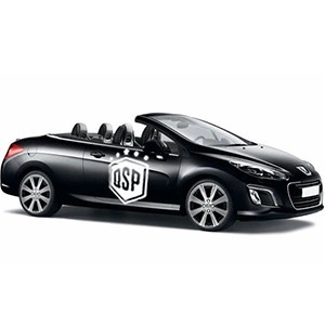 Accesorios y Luces LED para Peugeot 308 CC 11-14 | QSPCARS