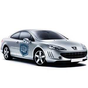 Tuning Accessories and LED Lights for Peugeot 407 Coupè | QSPCARS