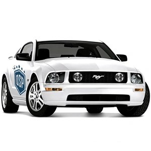Accesorios y Luces LED para Ford Mustang 5 05-10 | QSPCARS