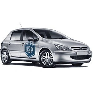 Accesorios Tuning y Luces LED para Peugeot 307 01-05 | QSPCARS