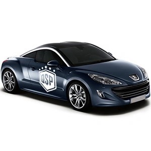 Accesorios Tuning y Luces LED para Peugeot RCZ 10-12 | QSPCARS