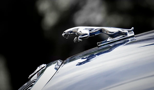 Fotografía detallada del frontal del coche Jaguar