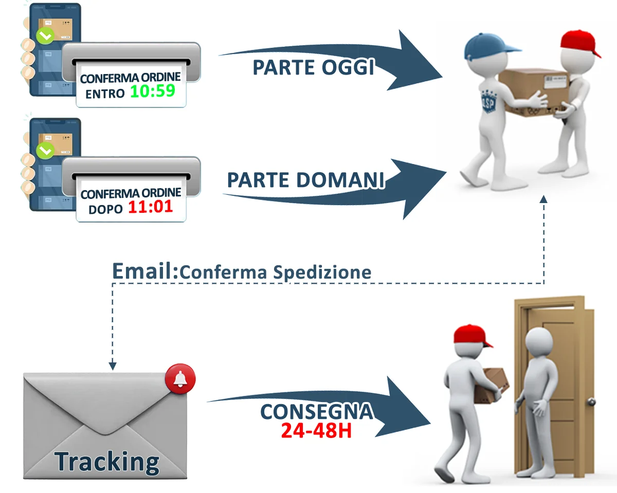 Procedura Spedizioni qspcars